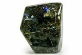 Flashy Free-Standing Polished Labradorite - Madagascar #364193-1